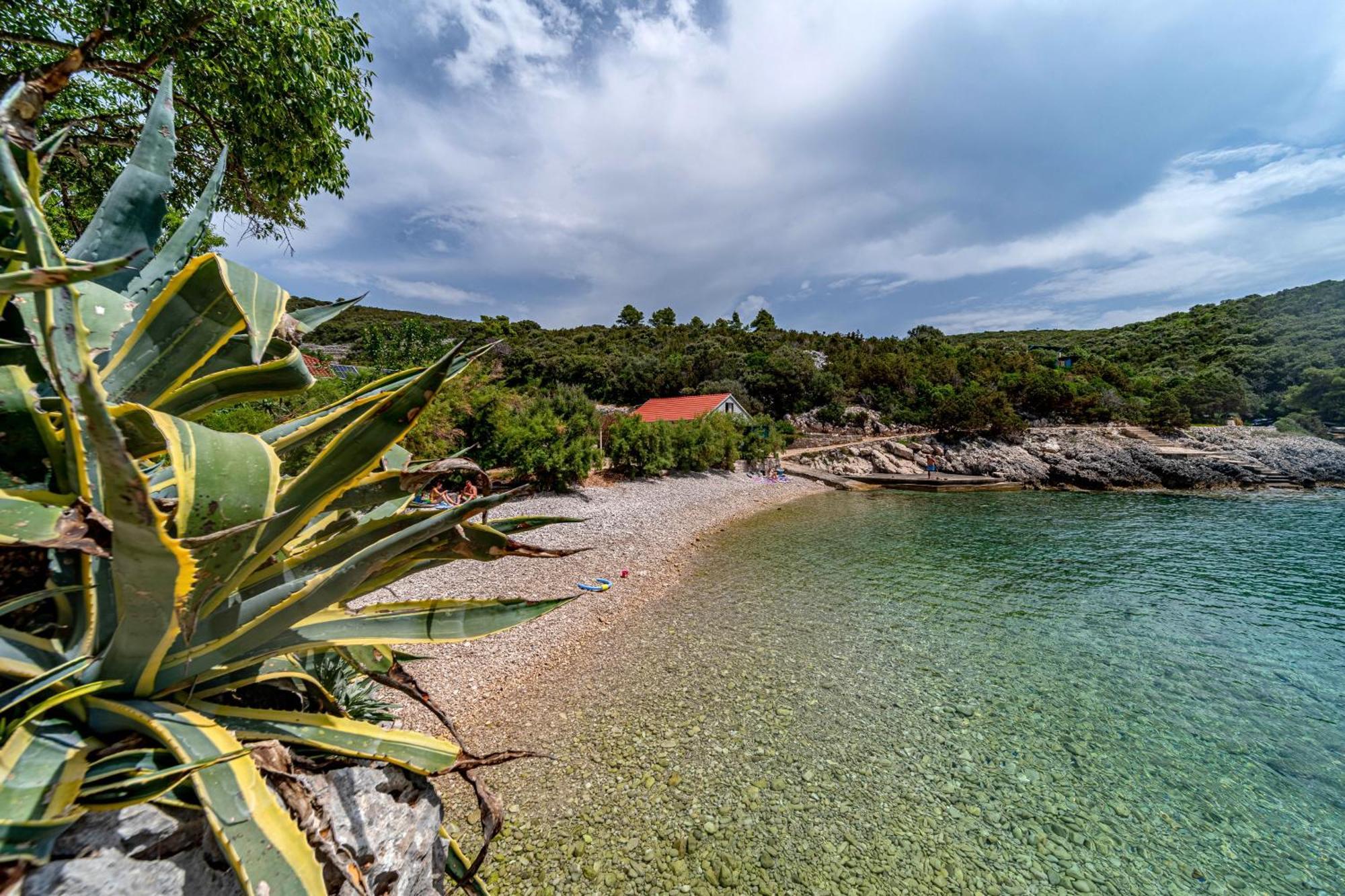 Seaside House For Families With Children Cove Rasohatica, Korcula - 4386 Lumbarda Luaran gambar